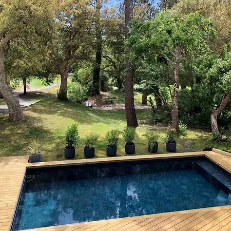 De Luxe Avec Piscine Chauffee Et Salle De Sport - Fr-1-791-10 Seignosse
