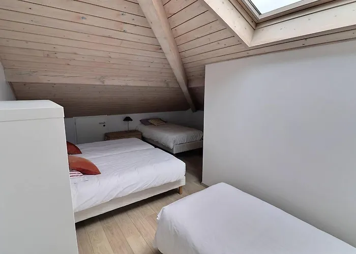 Villa Contemporaine A Avec Piscine Chauffee, Proche Ocean - Fr-1-791-10 Seignosse